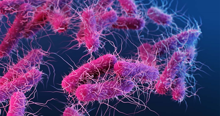 مقاومت آنتی‌بیوتیکی چیست