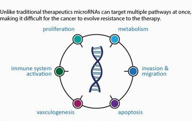  ادغام پروفایلینگ miRNA و یادگیری ماشینی برای بهبود تشخیص سرطان پروستات